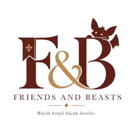 default-logo
